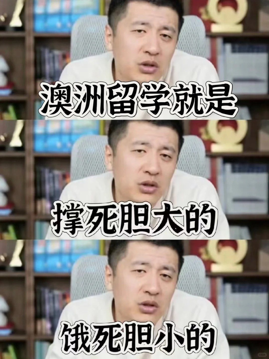 澳洲留学就是撑死胆大的 饿死胆小的❗❗_1_小呗学姐留学教育_来自小红书网页版.jpg